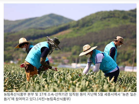 농번기 인력수요 중점관리 시군 선정…‘체류형 영농작업반’ 도입