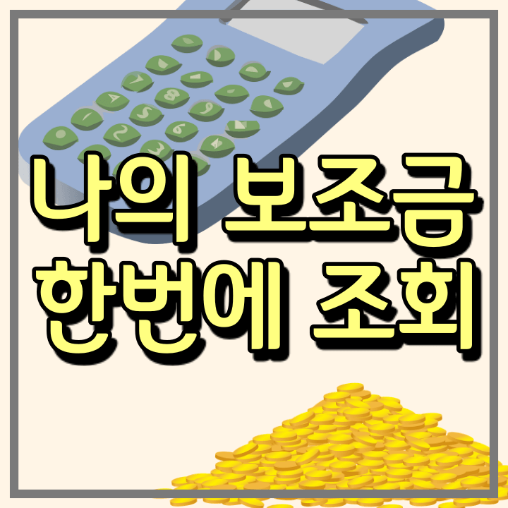 국가보조금 통합 조회 및 신청 서비스 (보조금 24, 정부 24)