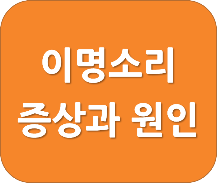 삐~ 하는 이명소리 원인 (귀울림)