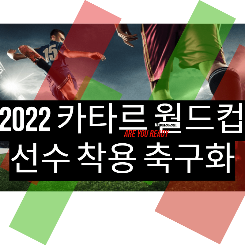 카타르 월드컵 축구화