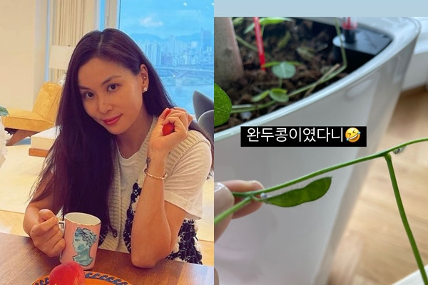 장동건고소영, 163억 집에서 애지중지 키웠는데...