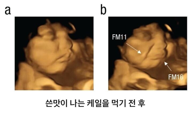 음식 먹은 후 뱃속 아기 표정