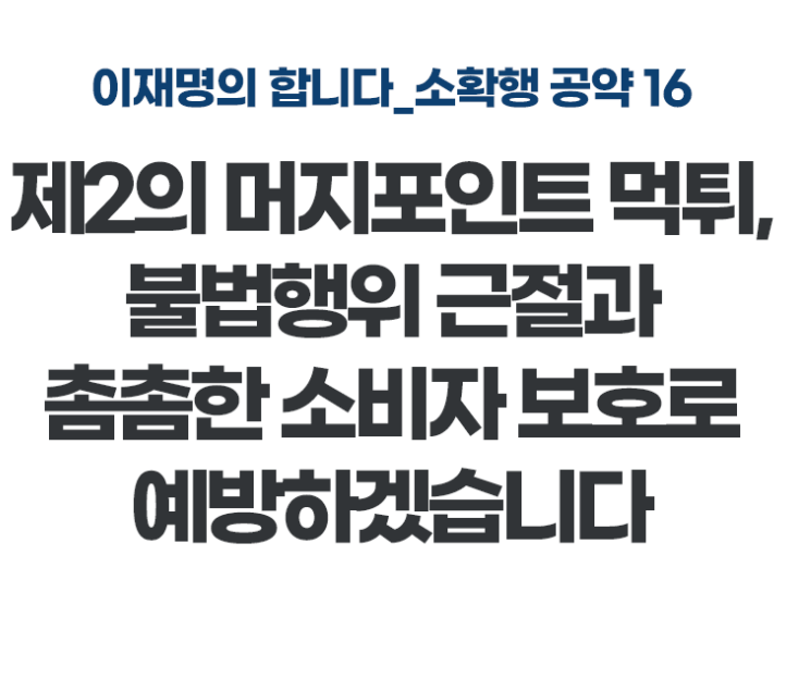 대통령 선거 이재명 후보의 공약 4