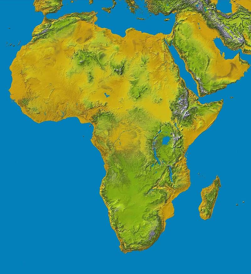 아프리카의 인구와 아프리카 주요 국가 인구