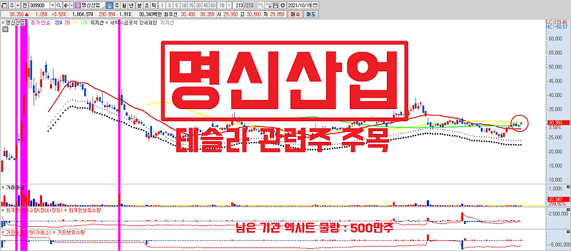테슬라 관련주 명신산업 주가 전망, 마이클버리 테슬라 하락배팅 끝. 주가 상승 시작