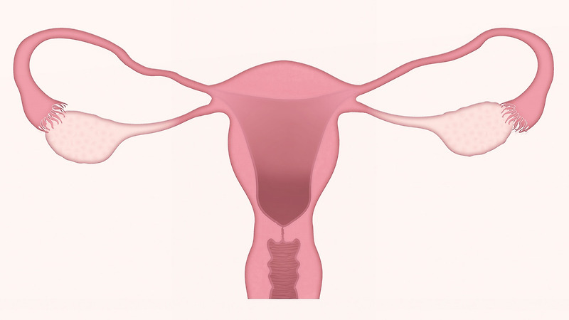 자궁경부암의 예방법과 검사방법