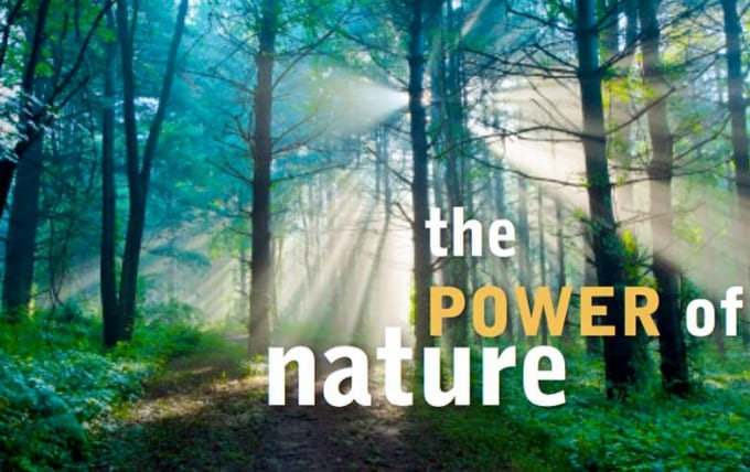 병원에 의지하지 않는 건강관리법...자연 치유력 The Healing Power of Nature