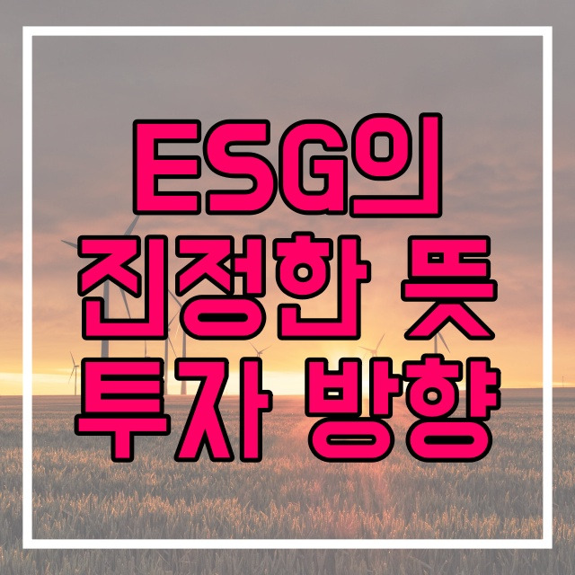 ESG 경영의 정확한 뜻 이해하기 비재무적 가치 투자 방향 559번