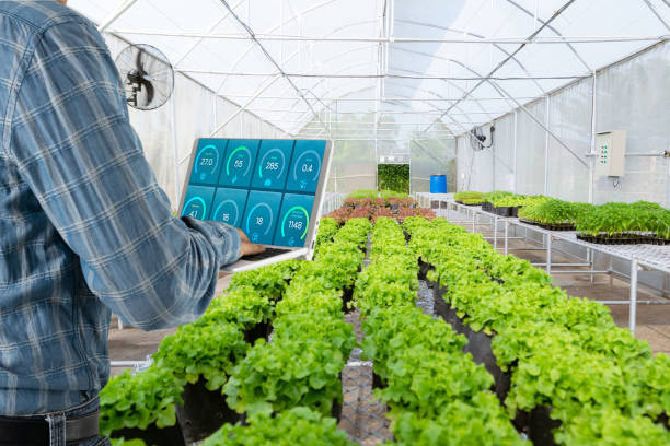 스마트팜으로 재배 가능한 작물과 생육환경