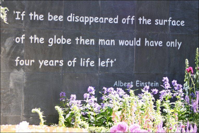 꿀벌이 사라진다고?...멸종되면 지구도 없어진다? Einstein And The Bees. Should You Worry?