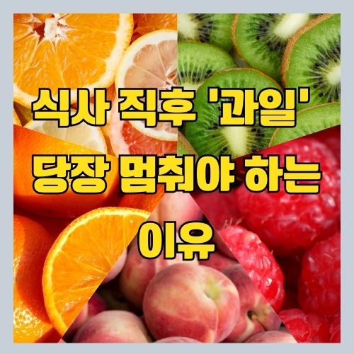 당뇨에 좋은 vs 나쁜 과일? - 과일 먹고 건강 해치는 습관(음식)