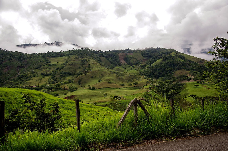 커피의 산지에 대하여 콜롬비아와 코스타리카편
