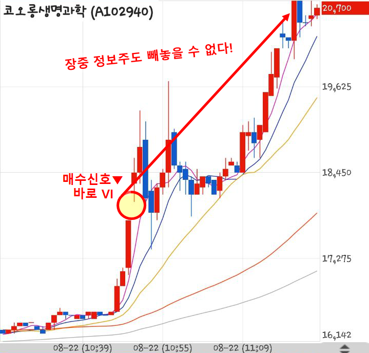 190822 급등황제 코오롱생명과학 수익인증