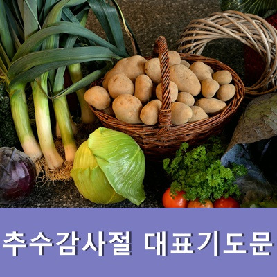 추수감사절 대표기도문 11월 넷째주일 기도문