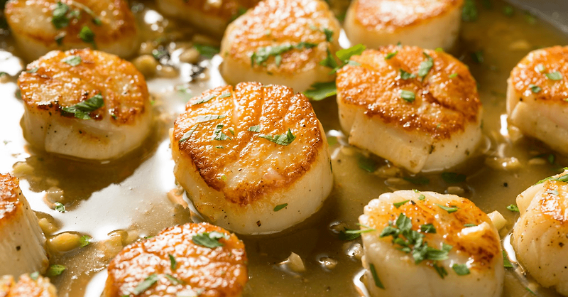 Scallop - The beloved mollusk