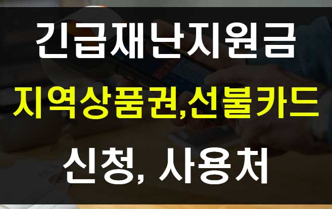 코로나 긴급재난지원금 선불카드 지역사랑상품권 신청과 사용처