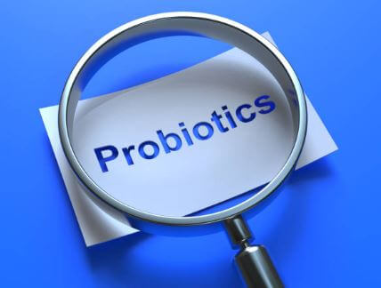 유산균 효능 및 종류, 섭취방법 : 프로바이오틱스