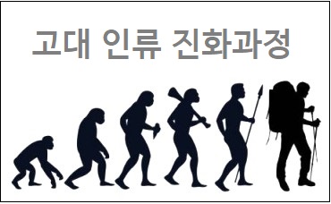고대 인류 진화과정 (인간의 진화과정)