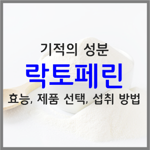 락토페린 효능 제품 고르는 법 섭취량 부작용