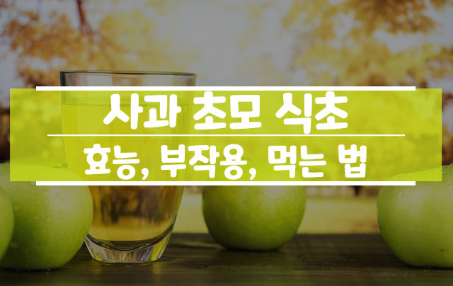 사과초모식초 효능 먹는법 부작용
