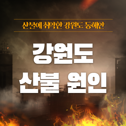 양양 산불 원인과 강원도 동해안 지역의 화재 취약 원인