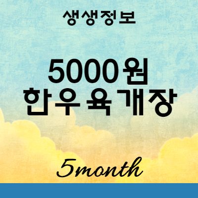 생생정보 5000원 100그릇 한정 한우육개장 맛집 : 대전 팔도육개장