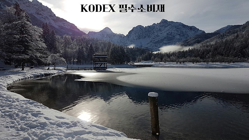 KODEX 필수소비재/266410