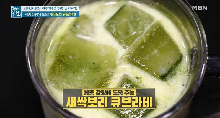 (천기누설)새싹보리효능 새싹보리경단 레시피 새싹보리 큐브라테 큐브라떼만들기 새싹보리분말 섭취시주의사항