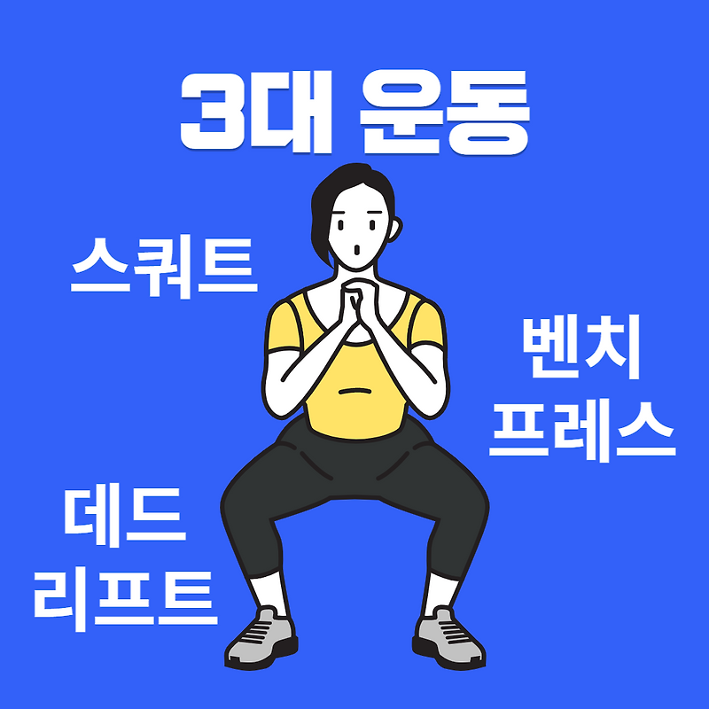 3대운동 바벨 스쿼트의 종류와 동작