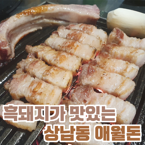 제주 흑돼지 연탄구이 맛집 창원 상남동 애월돈