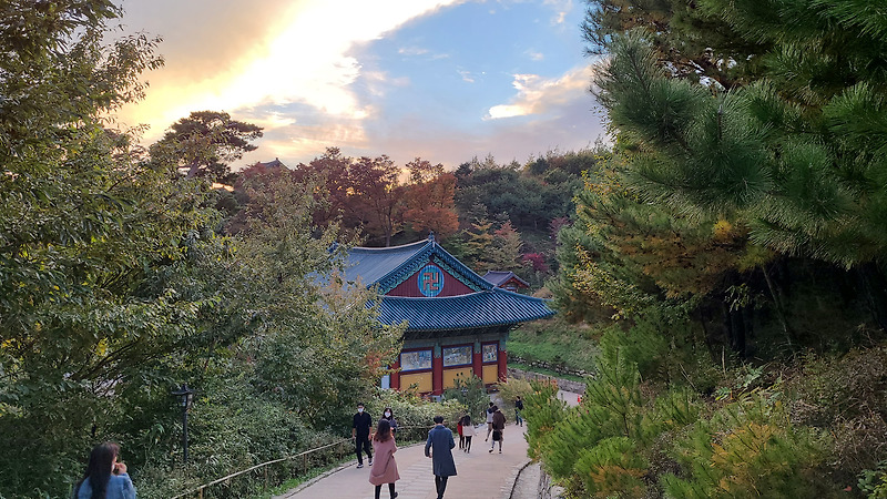 양양 낙산사 입장료 주차장 해수관음상, 3대 기도처 수능 기도 사찰 명당
