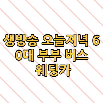 생방송 오늘저녁 60대 부부 버스 웨딩카 신박한 네바퀴 여행 충남 홍성 장소 어디?
