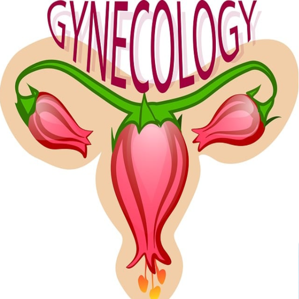 자궁근종의 원인과 증상 /예방 및 치료법 / 자궁근종에 좋은 음식과 나쁜 음식