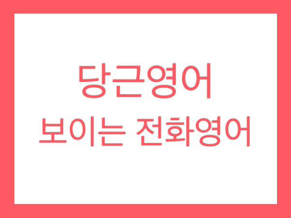 당근영어 한 달 후기, 원어민과 보이는 화상 전화영어