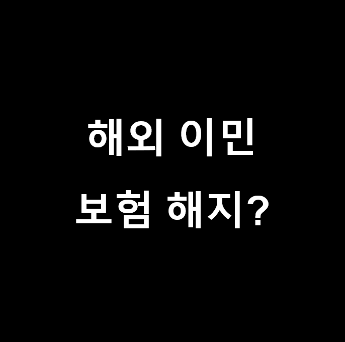 독일 및 해외 이민 시 각종 보험 정리해야 할지 머리가 아프신 분들께