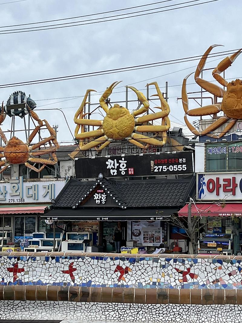 포항 구룡포 홍게짬뽕 맛집 짬홍