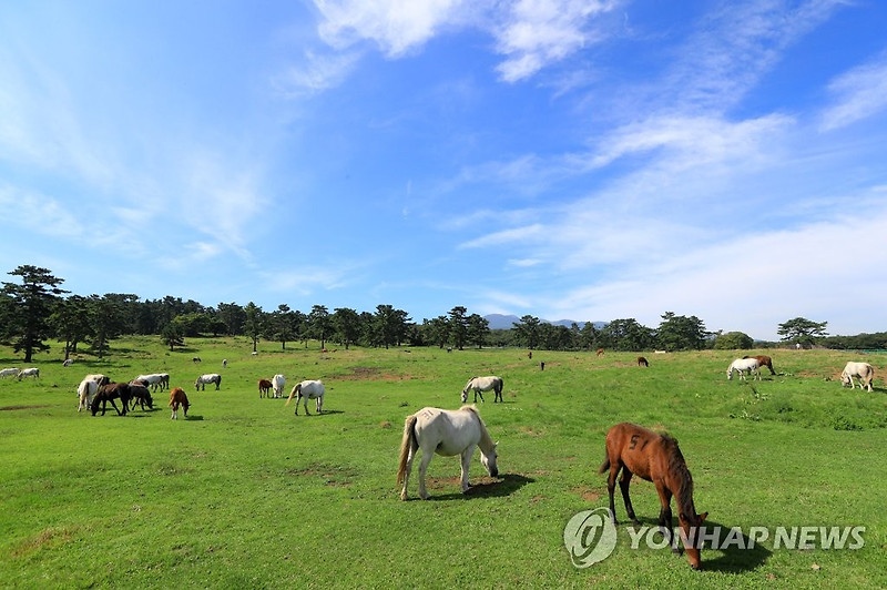 흉노족에 얽힌 이야기, 천고마비(天高馬肥)와 만리장성(萬里長城)
