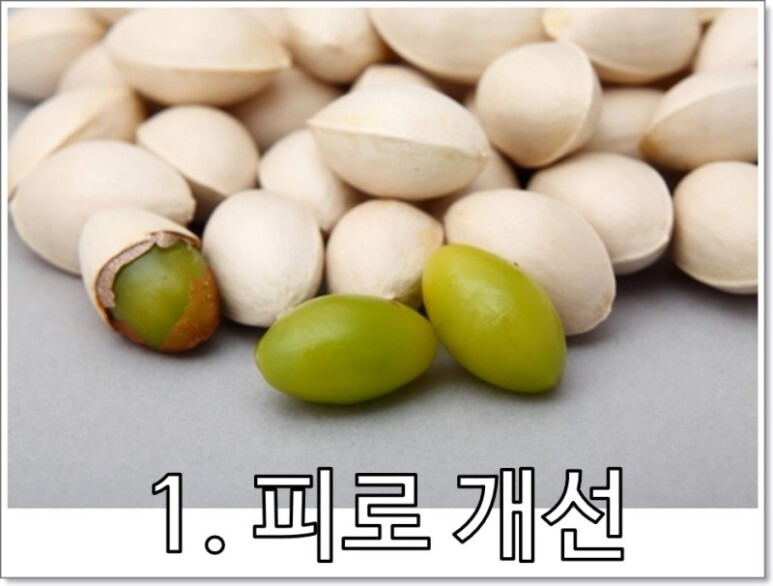 은행 효능 10가지, 부작용 알아보기
