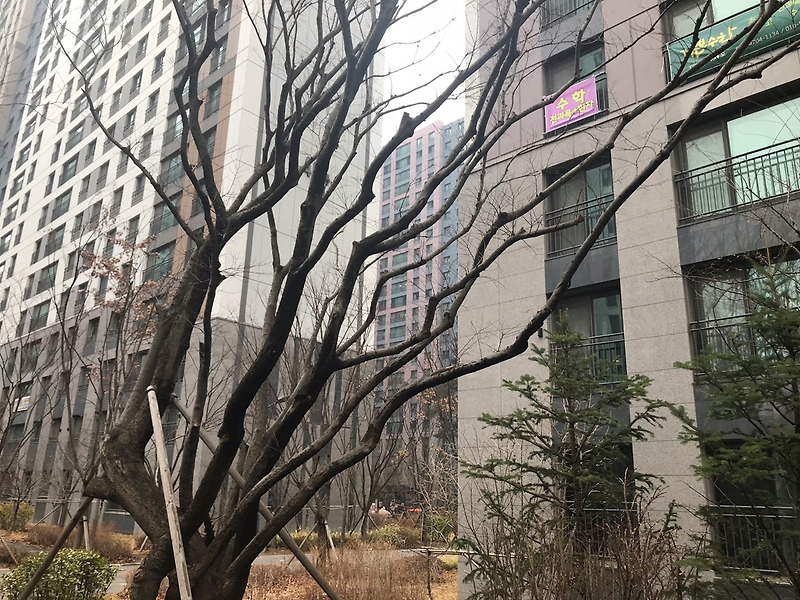 미성년 자녀 청약통장 개설시기와 월 납입금액은 얼마?