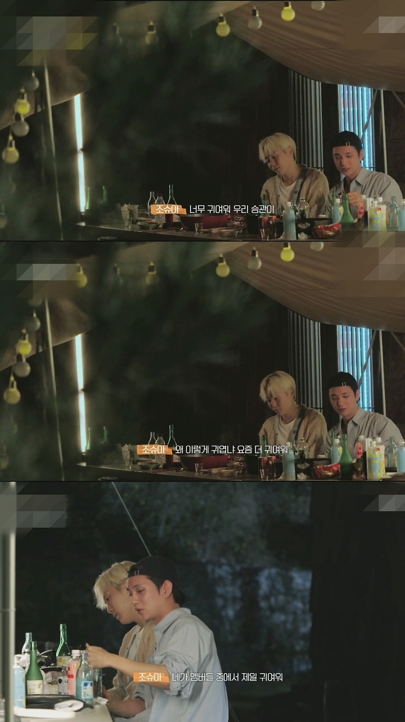 번아웃 온 세븐틴 승관과 알고 있던 멥버들