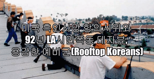 미국 흑인사망 항의시위와 92년 LA시민폭동 데자뷰, 용감한 예비군(Rooftop Koreans)