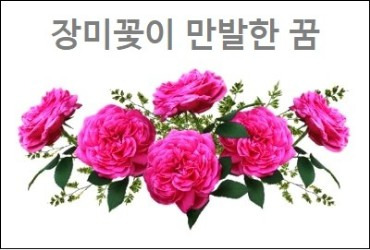 장미꿈 장미 꿈해몽 장미꽃이 만발한 꿈 장미 선물 받는 꿈