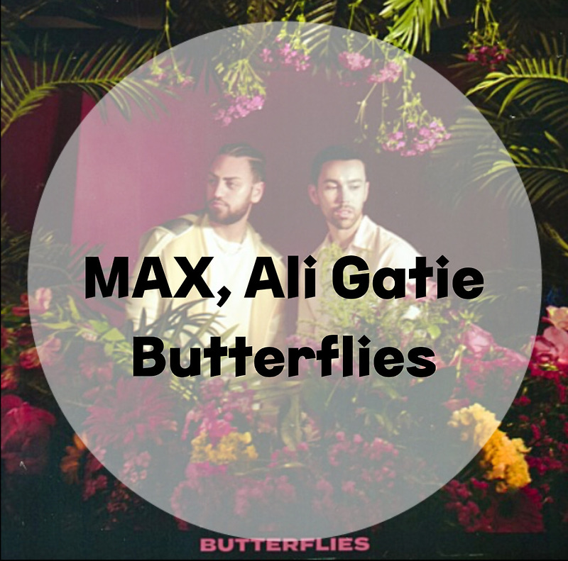 : MAX, Ali Gatie : Butterflies (가사/듣기/뮤비 M/V official video)