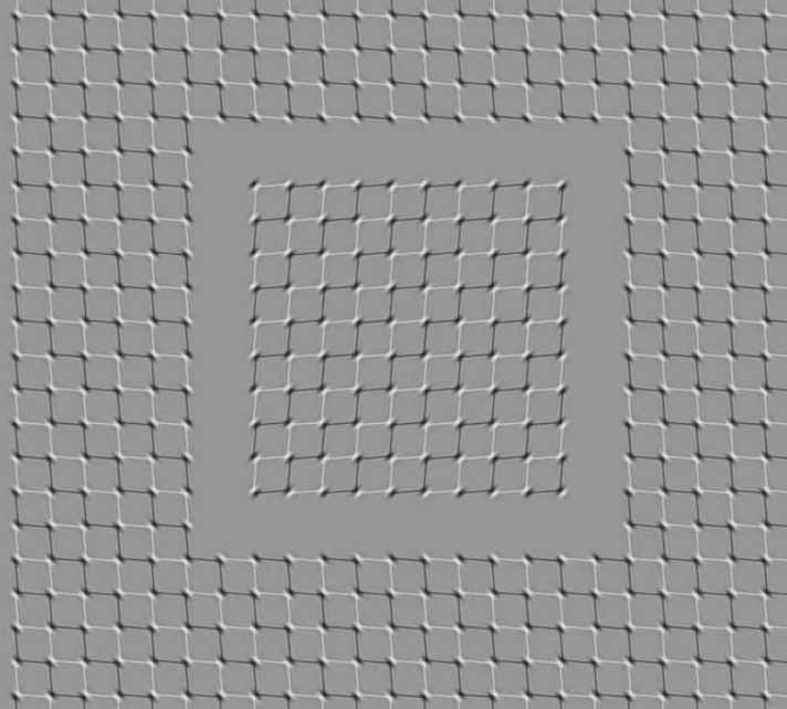 이 착시 움직임을 10초 동안 정지시킬 수 있을까 VIDEO: Can YOU stop the squares in this optical illusion from moving for 10 seconds?