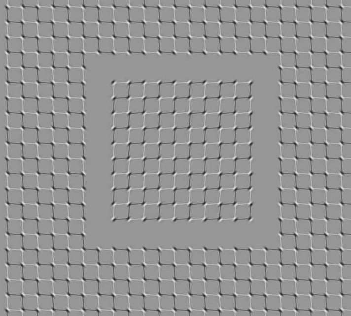 이 착시 움직임을 10초 동안 정지시킬 수 있을까 VIDEO: Can YOU stop the squares in this optical illusion from moving for 10 seconds?