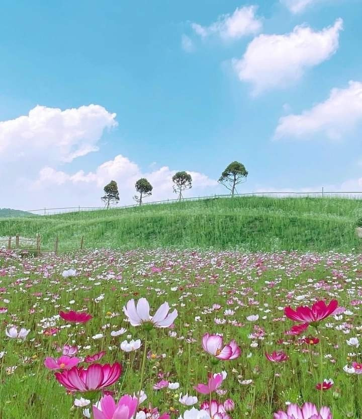 우리 몸의 신비 15가지