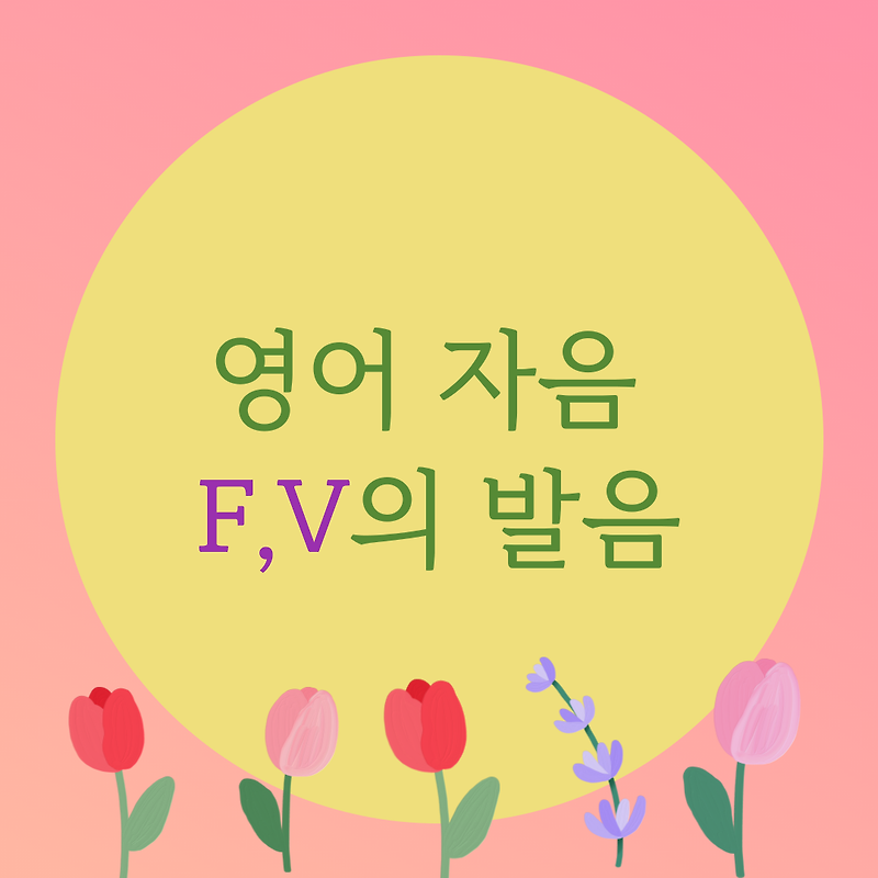 [블로그] 영어의 자음 < F, V > 의 발음에 대해서 알아보자