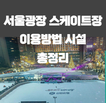 서울광장 스케이트장 이용방법 총정리 (+온라인 예매)