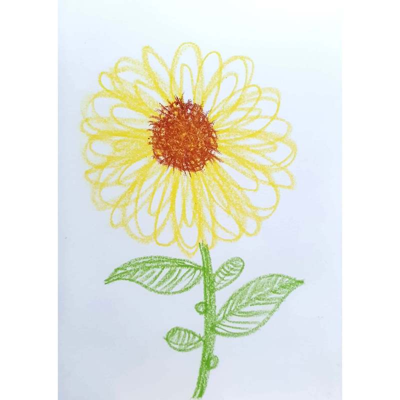 Flower 꽃 / 일러스트 그림 드로잉 / 식물화 그리기