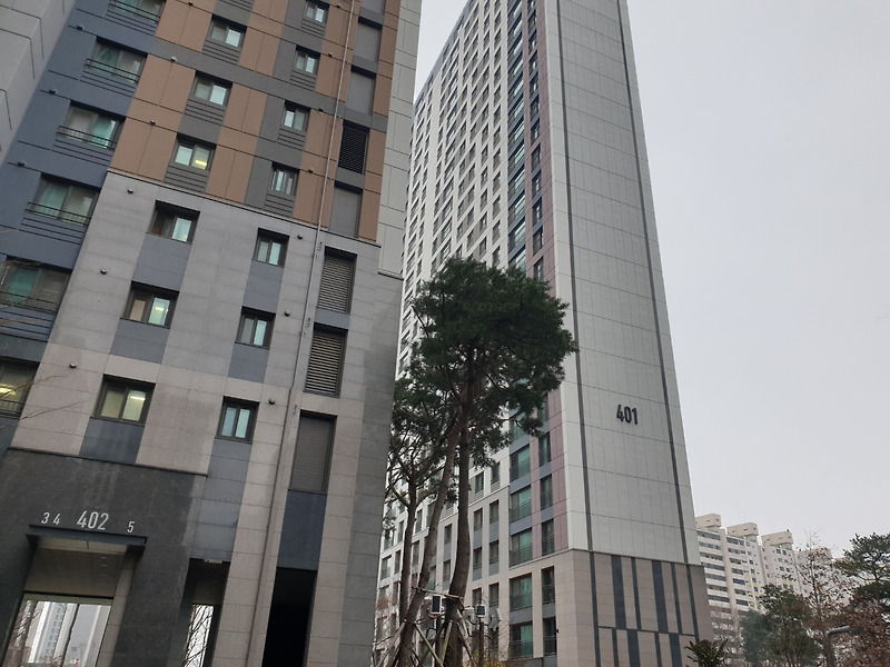 분양가상한제, 의무거주기간으로 전세끼고 분양 안됩니다!!